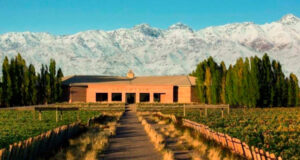 El mejor Cabernet Sauvignon del mundo es argentino