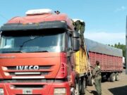 Decomisan 196 toneladas de soja que eran trasladadas en siete camiones