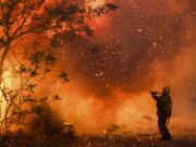 Se quemó casi el 60% de los bosques de Córdoba en 31 años