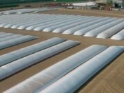 Justo Daract: inesperada clausura municipal paraliza el movimiento de granos de Cargill