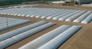 Justo Daract: inesperada clausura municipal paraliza el movimiento de granos de Cargill