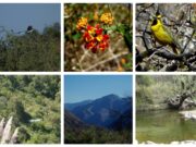Las Áreas Naturales Protegidas de San Luis reabrieron con nuevos horarios
