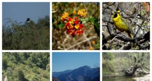 Las Áreas Naturales Protegidas de San Luis reabrieron con nuevos horarios