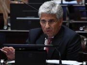 Poggi: “Para que los precios de la carne se estabilicen hay que aumentar la producción de hacienda”