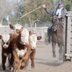 WhatsApp Image 2021-07-01 at 12.52.32 (2)