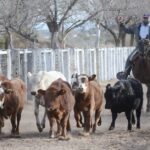 WhatsApp Image 2021-07-01 at 12.52.32 (3)