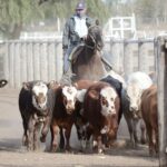 WhatsApp Image 2021-07-01 at 12.52.33