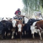 WhatsApp Image 2021-07-01 at 12.52.33 (2)