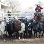 WhatsApp Image 2021-07-01 at 12.52.34 (1)