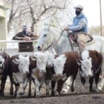 WhatsApp Image 2021-07-01 at 12.52.34