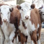 WhatsApp Image 2021-07-01 at 12.52.34 (3)