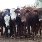 WhatsApp Image 2021-07-01 at 12.52.35 (1)