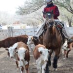 WhatsApp Image 2021-07-01 at 12.52.35