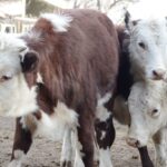 WhatsApp Image 2021-07-01 at 12.52.35 (3)