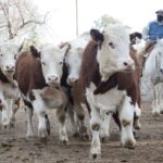 WhatsApp Image 2021-07-01 at 12.52.37 (1)