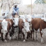 WhatsApp Image 2021-07-01 at 12.53.33 (2)