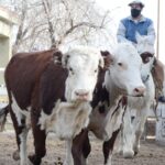 WhatsApp Image 2021-07-01 at 12.53.33 (3)