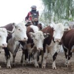 WhatsApp Image 2021-07-01 at 12.53.35 (1)