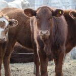 WhatsApp Image 2021-07-01 at 12.53.37