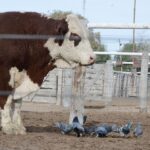 WhatsApp Image 2021-07-01 at 12.53.38 (1)