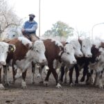 WhatsApp Image 2021-07-01 at 12.53.39 (2)