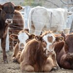 WhatsApp Image 2021-07-01 at 12.53.40 (1)