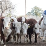 WhatsApp Image 2021-07-01 at 12.53.40 (2)