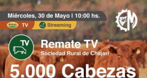 Sociedad Rural de Chajarí: Colombo y Magliano remató 5.000 cabezas por TV