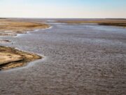 Cómo impactará la bajante del río Paraná en el agro y en el ambiente