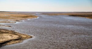 Cómo impactará la bajante del río Paraná en el agro y en el ambiente