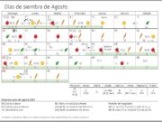 Calendario biodinámico para la siembra de Agosto 2021