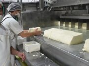 Junio 2021: Números positivos para la cadena de valor láctea