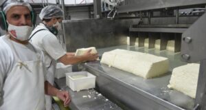 Junio 2021: Números positivos para la cadena de valor láctea