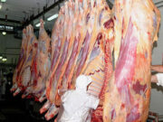 El gobierno extiende el freno a las exportaciones de carne