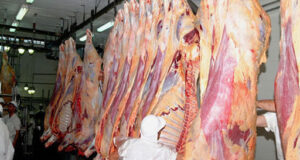 El gobierno extiende el freno a las exportaciones de carne