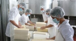 Entró en vigencia la norma para establecimientos lácteos de elaboración artesanal