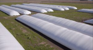 Argentina exportará tecnología de almacenamiento de granos a Pakistán