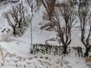Un temporal causó destrozos en Saladillo