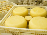 Consultas frecuentes sobre establecimientos lácteos de elaboración artesanal