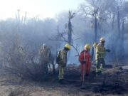 El incendio forestal en Papagayos está contenido