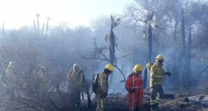 El incendio forestal en Papagayos está contenido