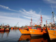 La actividad pesquera creció más el 100 por ciento en junio