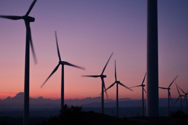 24 - 08 - récord de uso de energías renovables