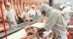 Estiman en 19 kilos el promedio de carne de cerdo que se consume en el país