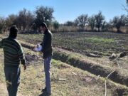 San Luis Agua ya realiza el censo de cultivo a los usuarios que completaron la Intención de Siembra