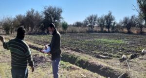 San Luis Agua ya realiza el censo de cultivo a los usuarios que completaron la Intención de Siembra