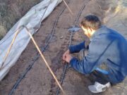 Huerta comunitaria del Movimiento Cuidadores de la Casa Común, en Villa Mercedes