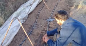 Huerta comunitaria del Movimiento Cuidadores de la Casa Común, en Villa Mercedes