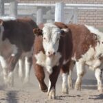 WhatsApp Image 2021-08-12 at 13.43.54 (1)