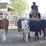 WhatsApp Image 2021-08-26 at 12.41.41 (1)